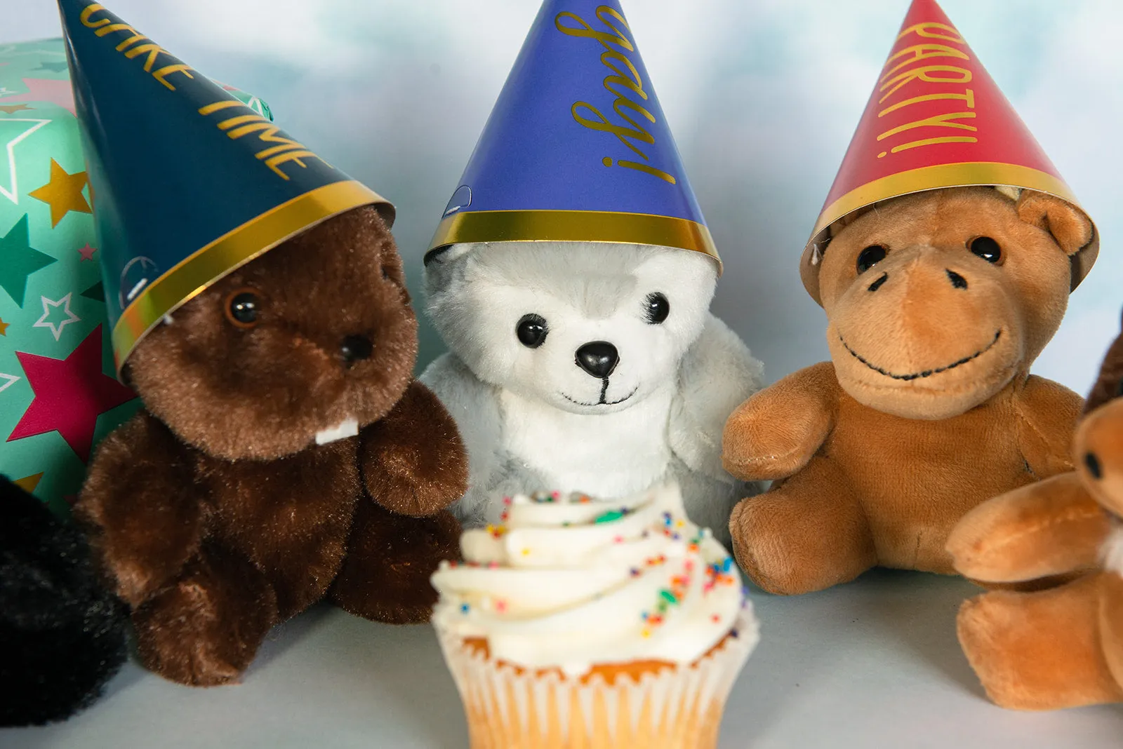 12 piece Party Pack - Mini Canned Critters