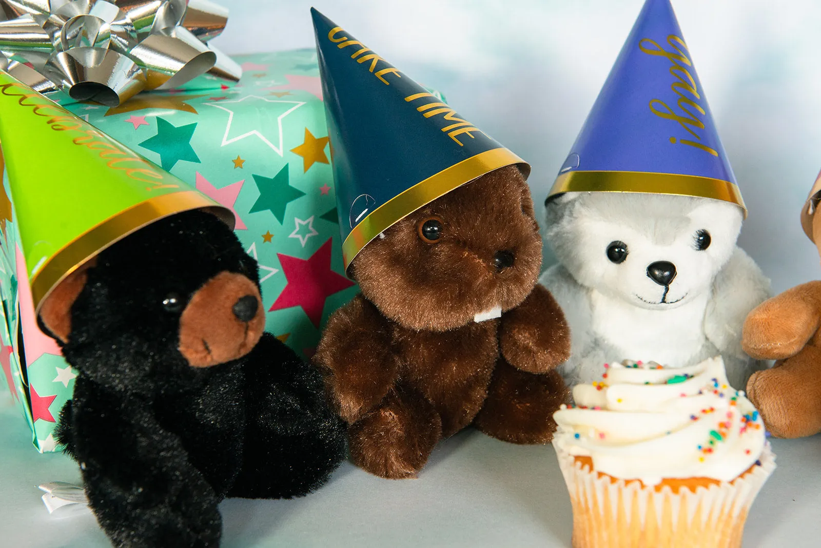 12 piece Party Pack - Mini Canned Critters