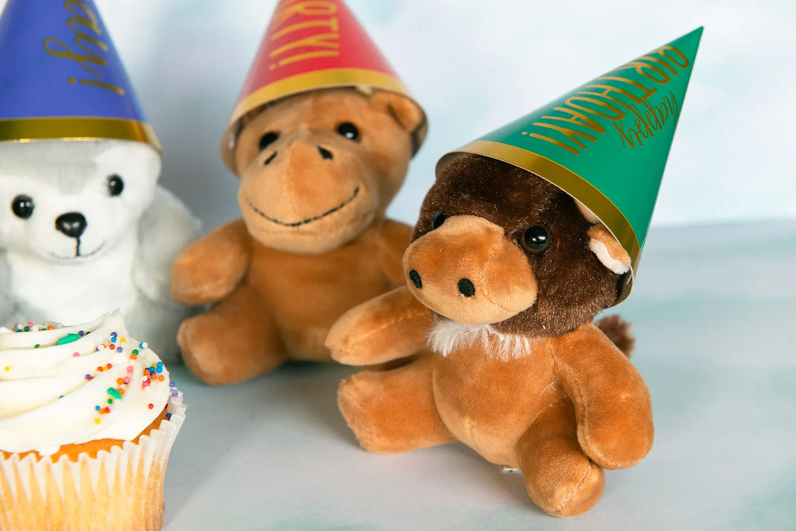 12 piece Party Pack - Mini Canned Critters