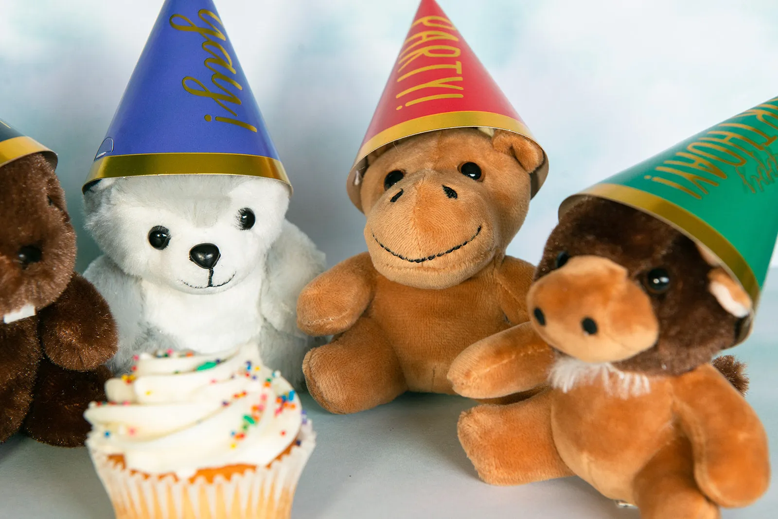 12 piece Party Pack - Mini Canned Critters