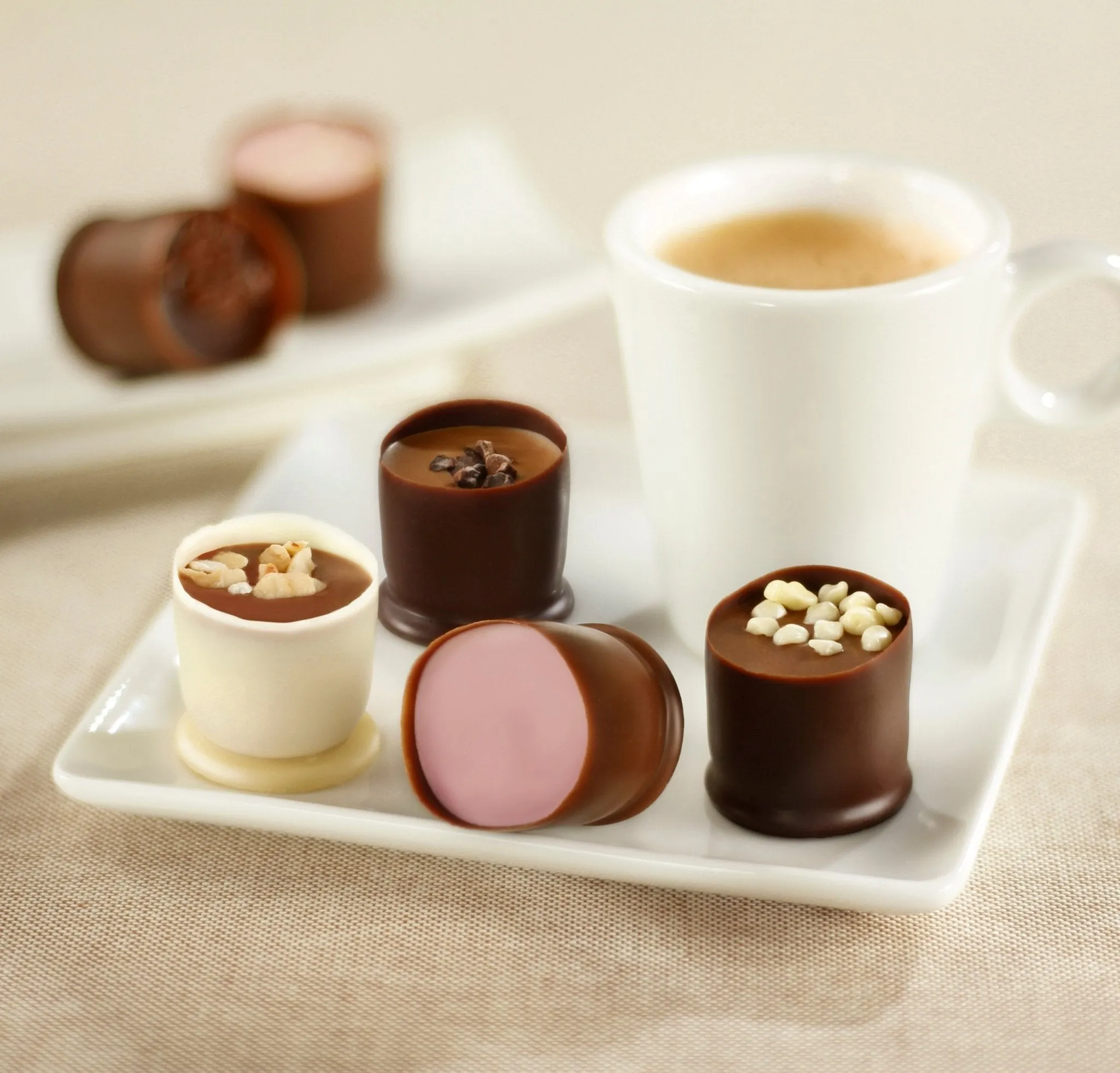 Andy Anand's 15 Pcs Belgian Chocolate Truffles & Praline Cups, Made with Freshest Cream, Fancy Imported Truffles Gift Box for Holiday Parties - Perfect for Any Occasion