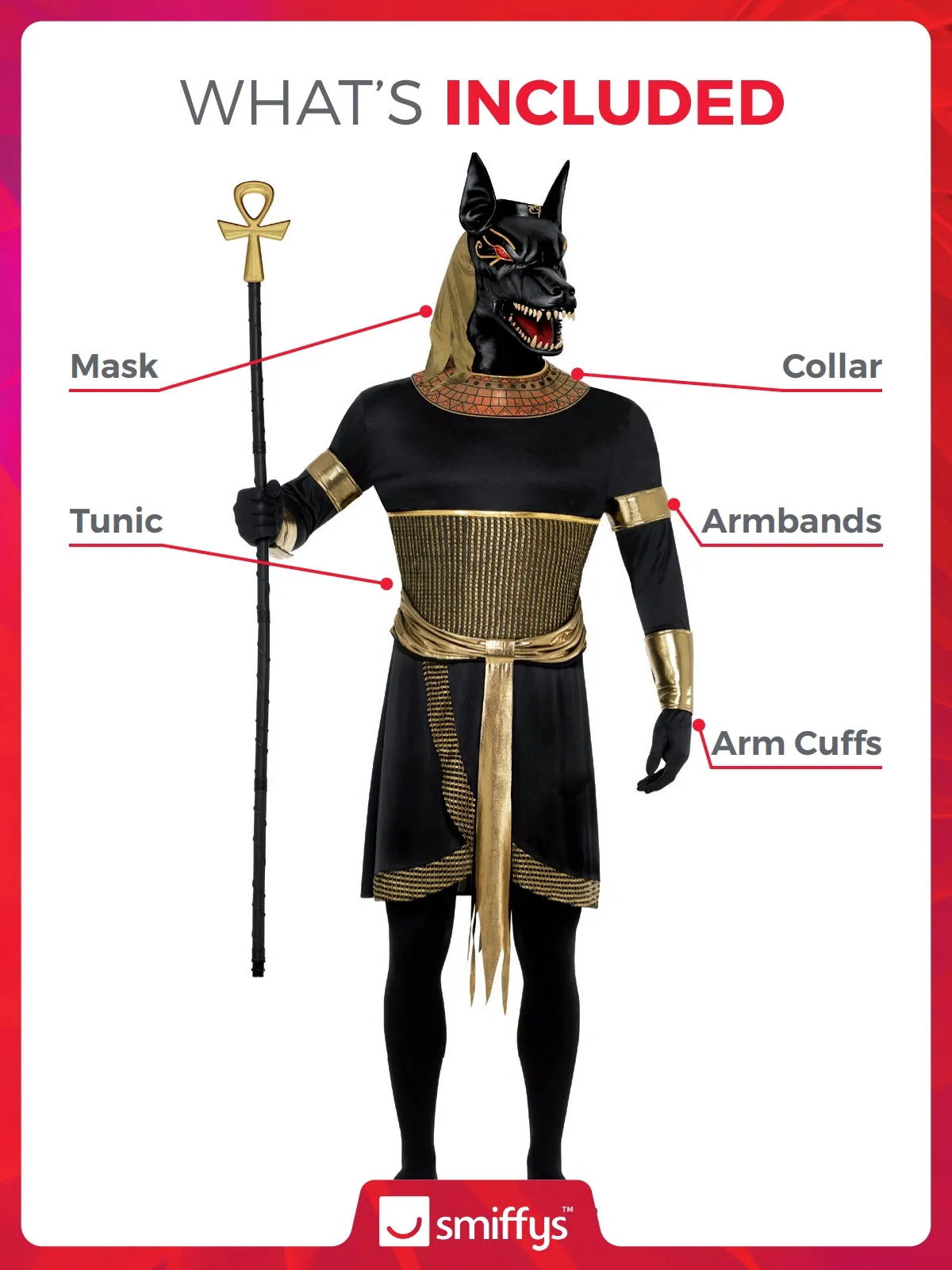 Anubis the Jackal