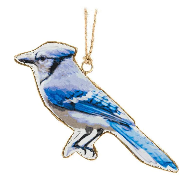 Blue Jay Ornament