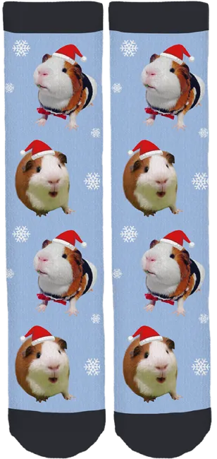 Bruce the Guinea Pig Holiday Socks