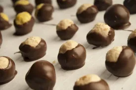 Chocolate Coated Coconut Balls