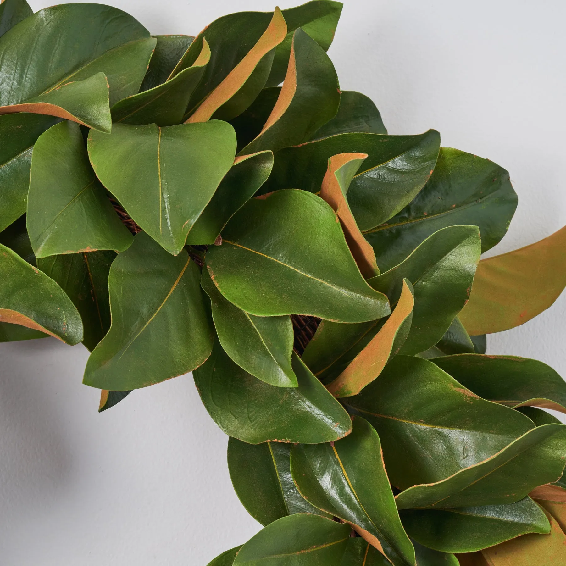 Classic Real Touch Magnolia Leaf All Seasons Front Door Wreath 24"