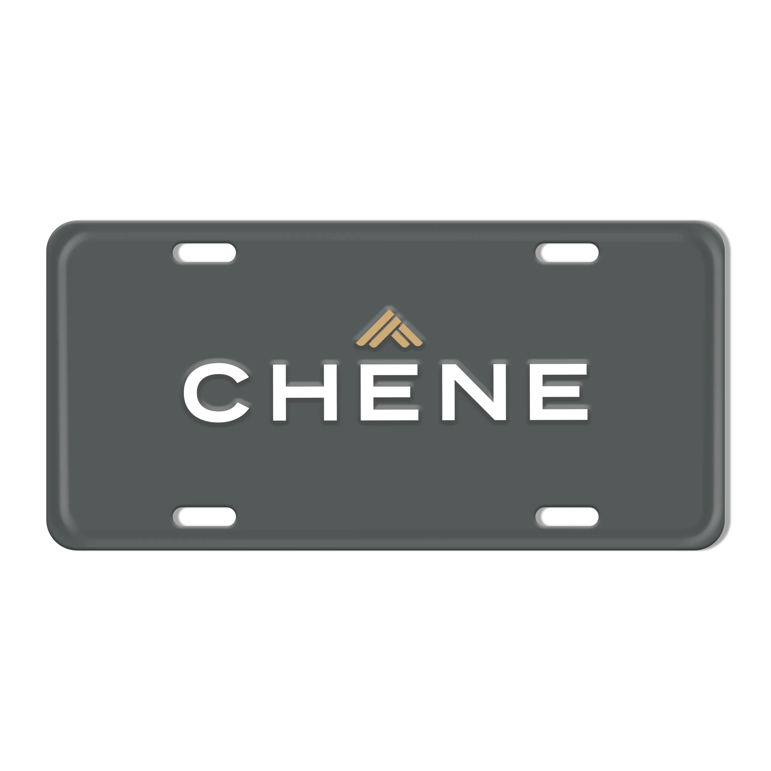 Logo License Plate