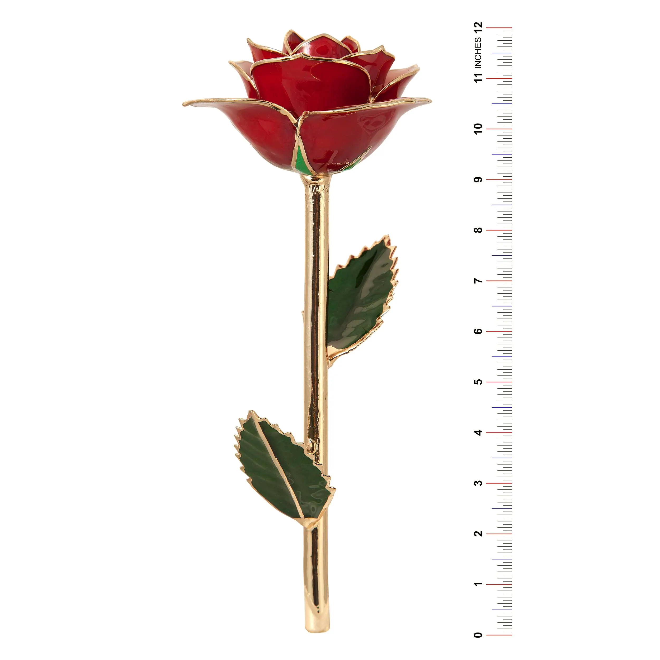 Mossy Green 24K Gold Dipped Rose
